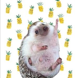 Meet your Posher, Heidi